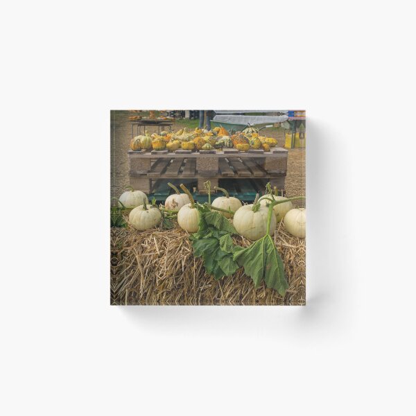 Item preview, Display at Italian Pumpkin Farm designed and sold by jojobob.