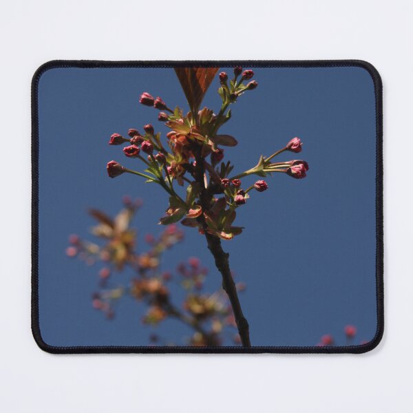 Item preview, Cherry tree buds designed and sold by jessicarscott99.