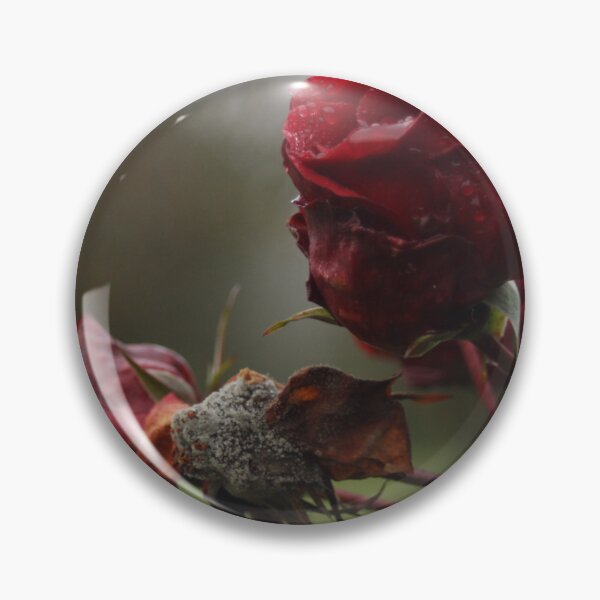 Item preview, Two roses  designed and sold by jessicarscott99.