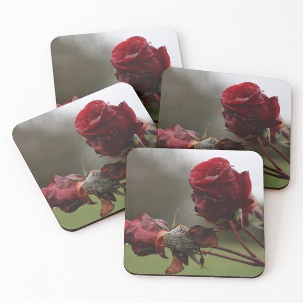Item preview, Two roses  designed and sold by jessicarscott99.