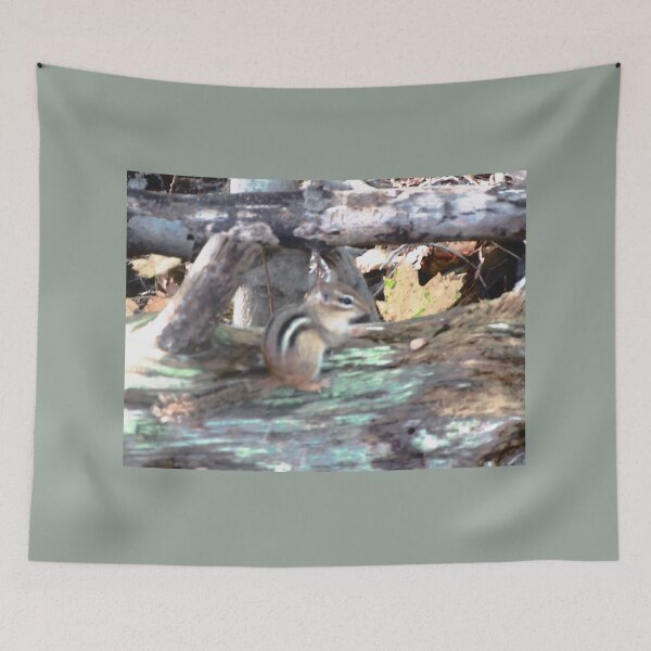 Item preview, Chipmunk designed and sold by Shulie1.