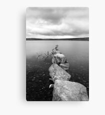Lochindorb - Line Of Stones Canvas Print