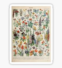 Adolphe Millot fleurs A Sticker