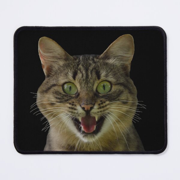 Item preview, PLAYFUL CAT, DO YOU WANT TO PLAY designed and sold by Danicus666.