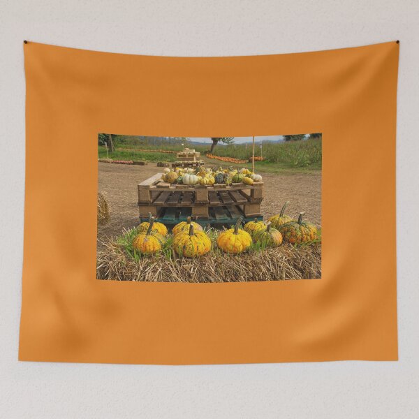 Item preview, Display at Italian Pumpkin Farm  designed and sold by jojobob.