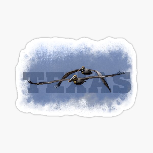 Pelicans flying Sticker