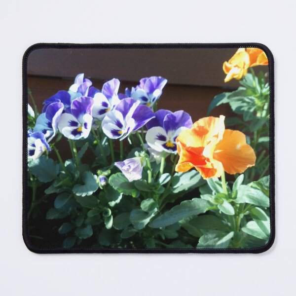 Item preview, Pansy flowers and sun designed and sold by Raigitam.