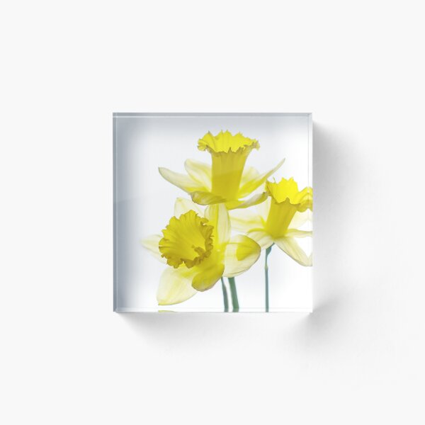 Dafs Acrylic Block