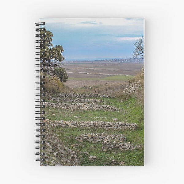 Item preview, Ancient Troy designed and sold by Daniel's Destinations.