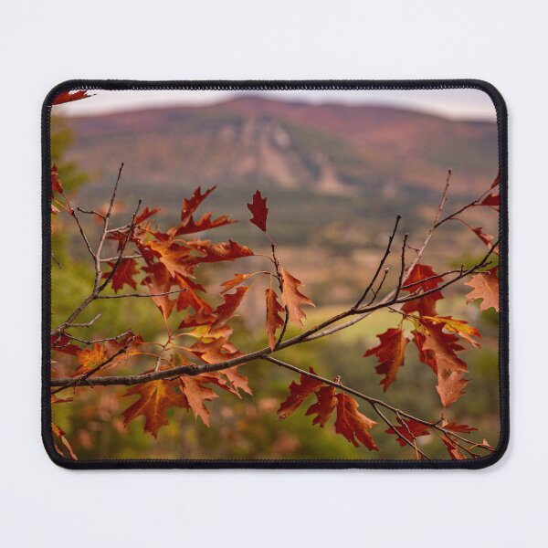 Item preview, Fall in the 603 designed and sold by Daniel's Destinations.
