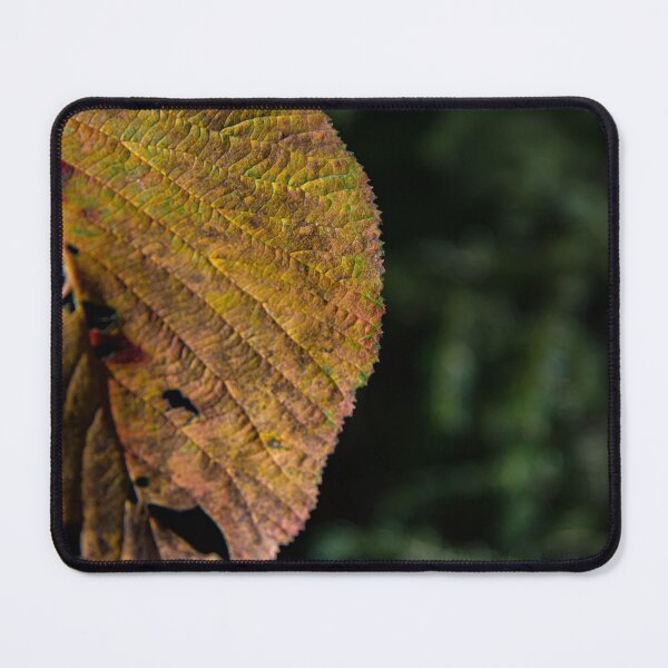 Item preview, Details of Nature designed and sold by Daniel's Destinations.