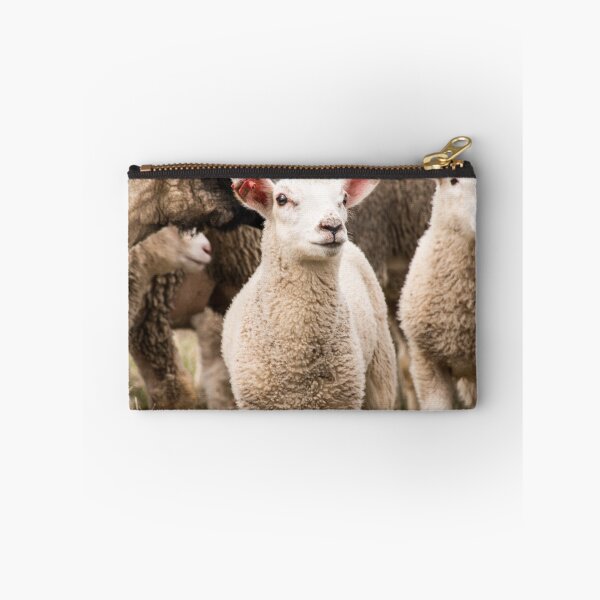 Item preview, Little Lamb designed and sold by HLGlenn.