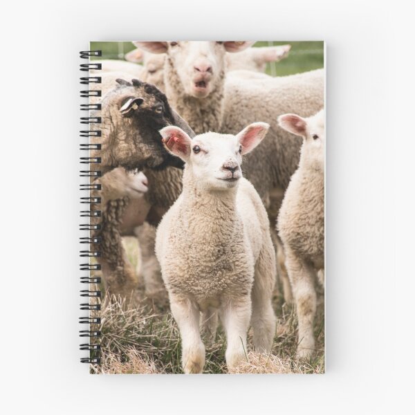 Item preview, Little Lamb designed and sold by HLGlenn.