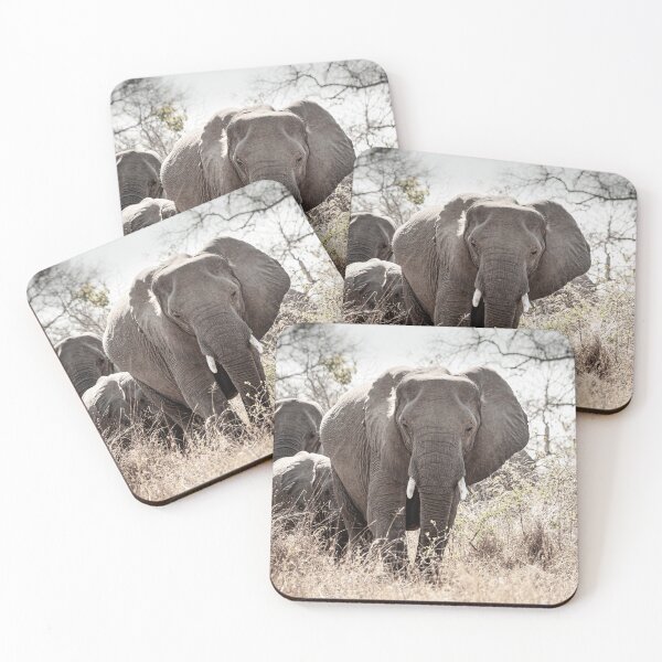 Item preview, Elephant in the bush designed and sold by DavidGabisPhoto.