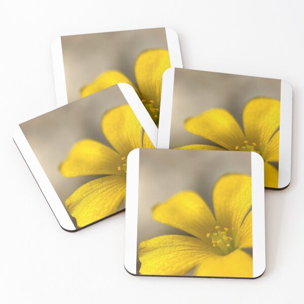 Item preview, Oxalis designed and sold by Jason Tompkins.