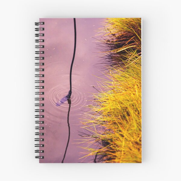 Item preview, Data Collection designed and sold by Daniel's Destinations.