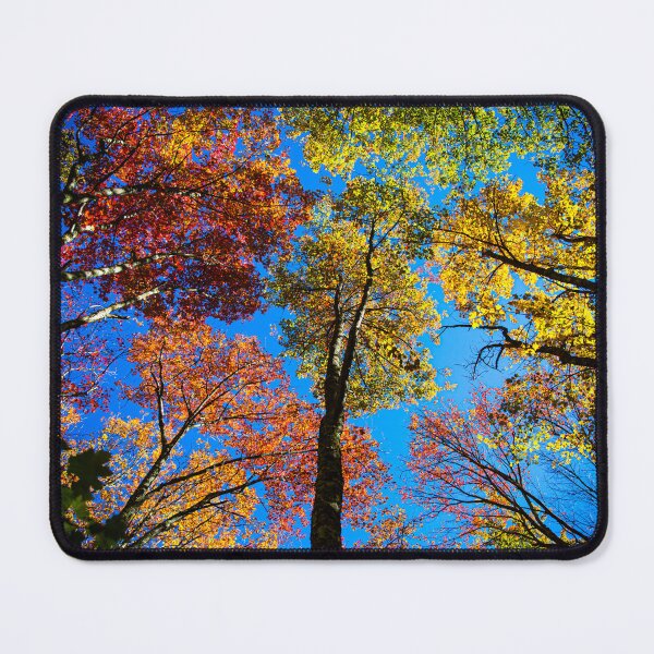 Item preview, Colors of Autumn designed and sold by Daniel's Destinations.