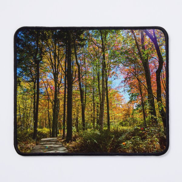 Item preview, Autumn Stroll designed and sold by Daniel's Destinations.