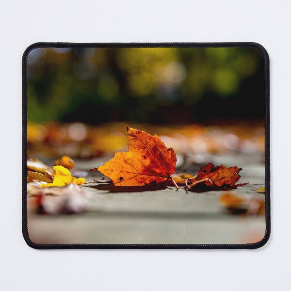 Item preview, Leafy Path designed and sold by Daniel's Destinations.