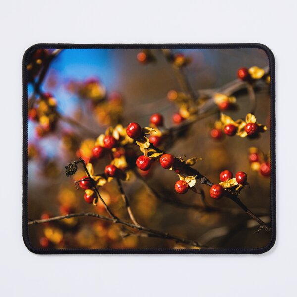 Item preview, Autumn Berries designed and sold by Daniel's Destinations.