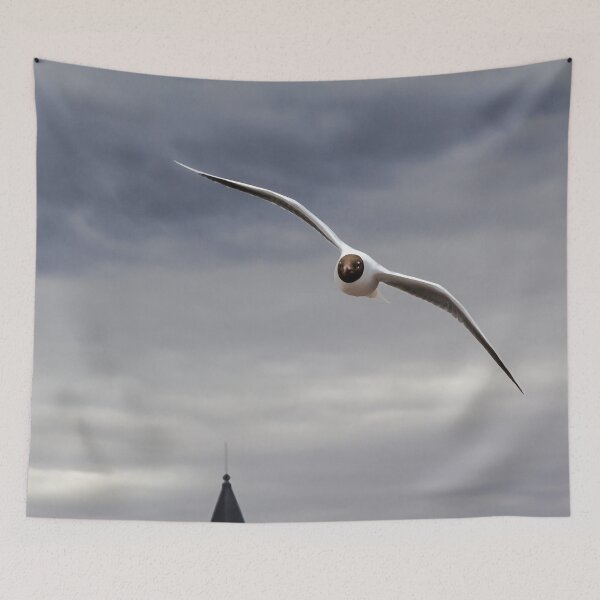 Item preview, Gliding Seagull in Harsh Winds - Puerto Natales, Chile designed and sold by holgermader.