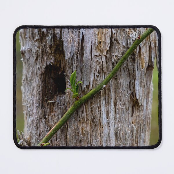 Item preview, Lonely Vine designed and sold by Daniel's Destinations.