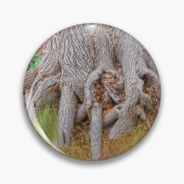 Item preview, TREE ROOTS ARE AWESOME!   NICE AND DRY designed and sold by JeffreyWayne.