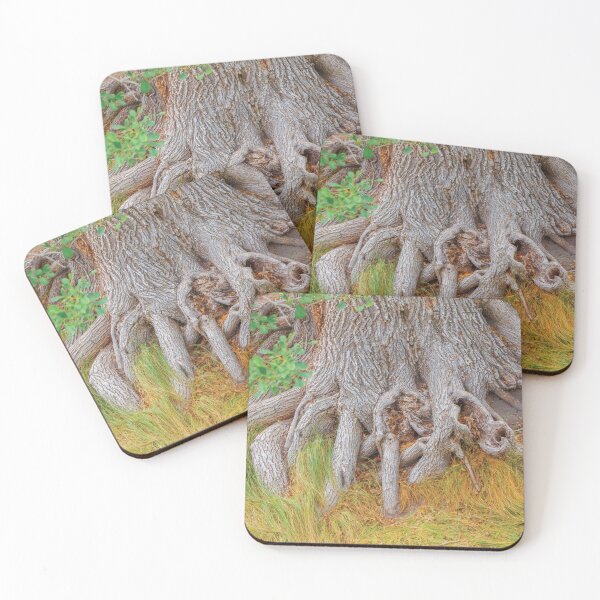 Item preview, TREE ROOTS ARE AWESOME!   NICE AND DRY designed and sold by JeffreyWayne.