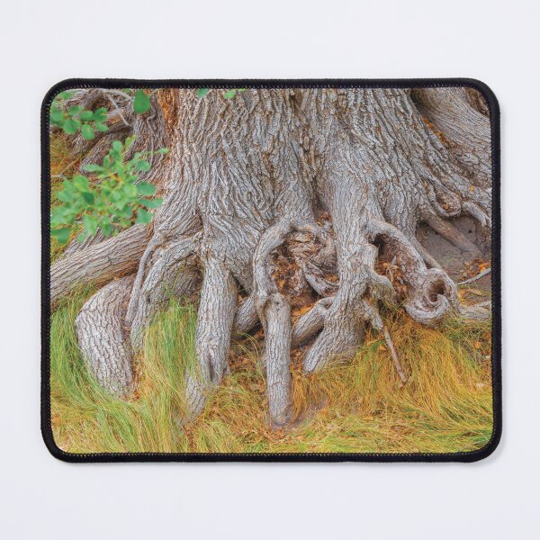 Item preview, TREE ROOTS ARE AWESOME!   NICE AND DRY designed and sold by JeffreyWayne.