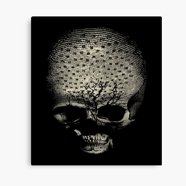 my alchemical death Canvas Print