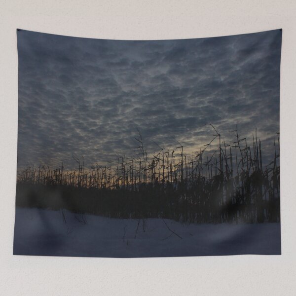 Item preview, Pymatuning Morn    |    Nature designed and sold by RedHandedOD.
