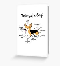 Anatomy Of A Corgi Grußkarte