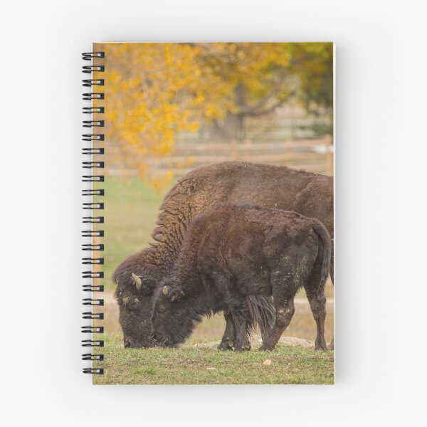 Item preview, Autumn Buffaloes Cow and Calf designed and sold by Bo Insogna.