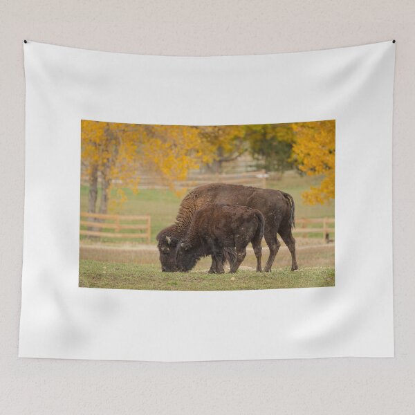 Item preview, Autumn Buffaloes Cow and Calf designed and sold by Bo Insogna.