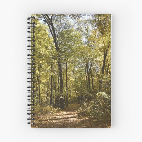 Item preview, Woodland Footpath designed and sold by Kathleen Brant.