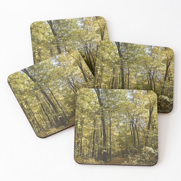 Item preview, Woodland Footpath designed and sold by Kathleen Brant.