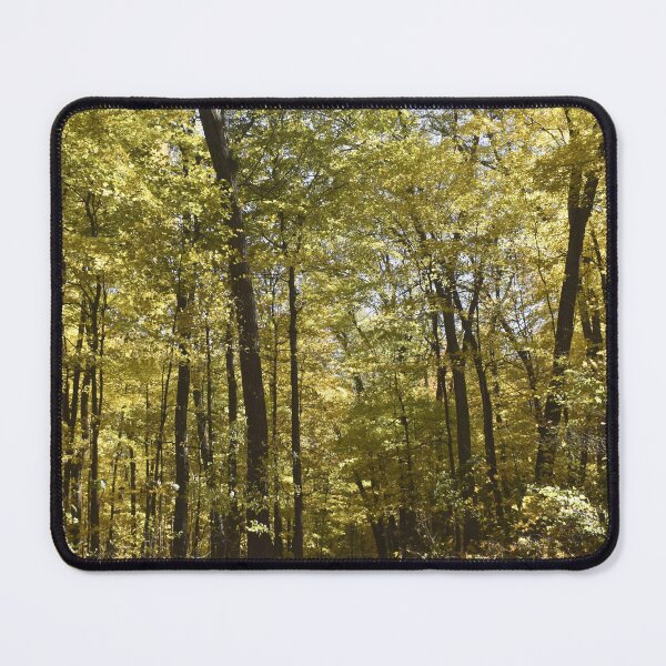 Item preview, Woodland Footpath designed and sold by Kathleen Brant.