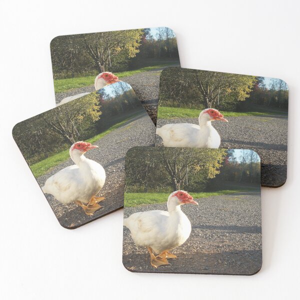 Item preview, White Muscovy Duck designed and sold by imphavok.
