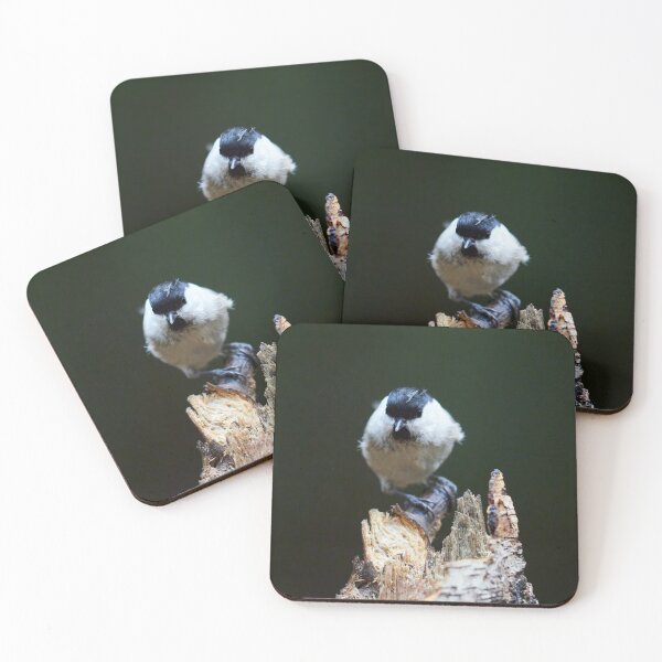 Item preview, Shallow dofs deeper toughts. Willow tit designed and sold by Jouko Lehto Photography.