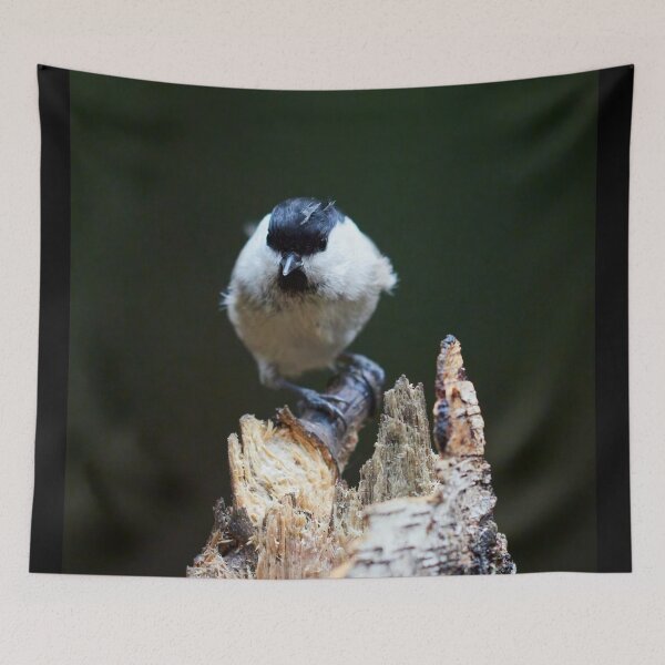 Item preview, Shallow dofs deeper toughts. Willow tit designed and sold by Jouko Lehto Photography.