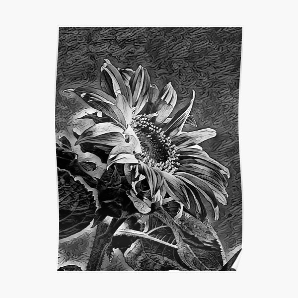 "Sunflower (Black and White) Art from the Floral Collection spcreationsco22" Poster for Sale