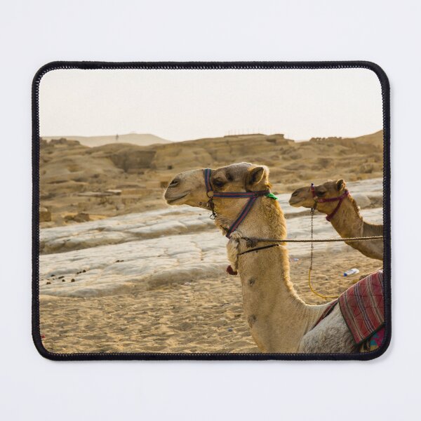Item preview, Ride Through the Desert designed and sold by Daniel's Destinations.