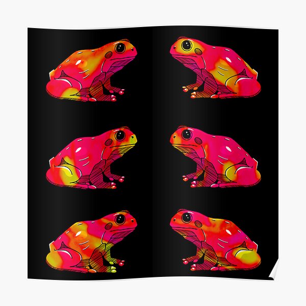 frog 52 pink