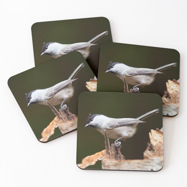 Item preview, Tilting tit. Willow tit designed and sold by Jouko Lehto Photography.