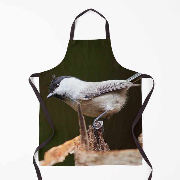 Item preview, Tilting tit. Willow tit designed and sold by Jouko Lehto Photography.