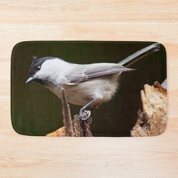 Item preview, Tilting tit. Willow tit designed and sold by Jouko Lehto Photography.