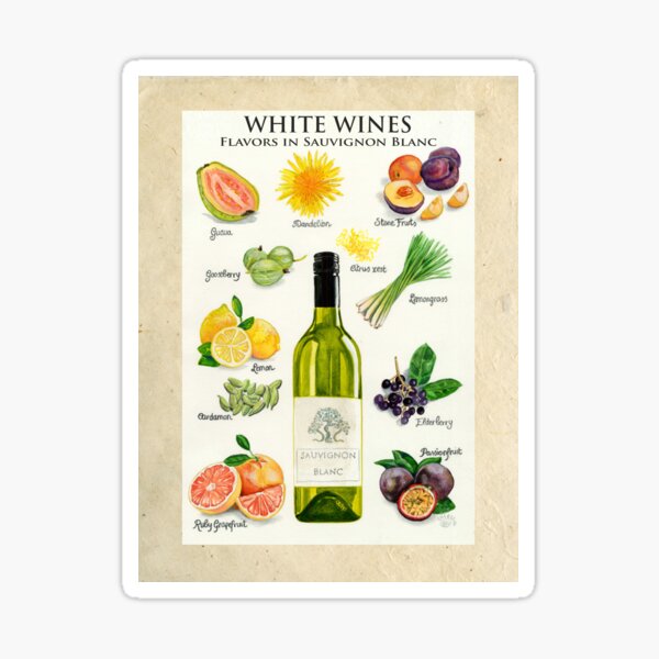 WHITE WINES - FLAVORS IN SAUVIGNON BLANC Sticker