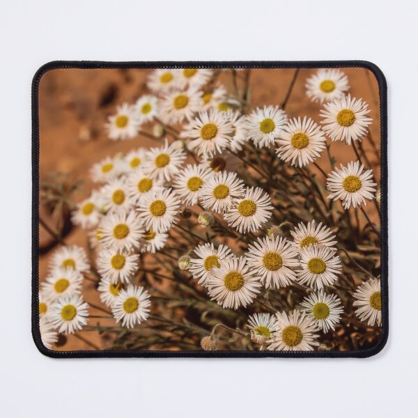 Item preview, Tidy Fleabane designed and sold by Daniel's Destinations.