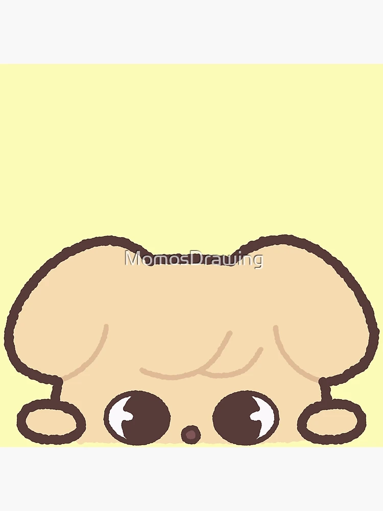 Stray kids - skzoo puppym