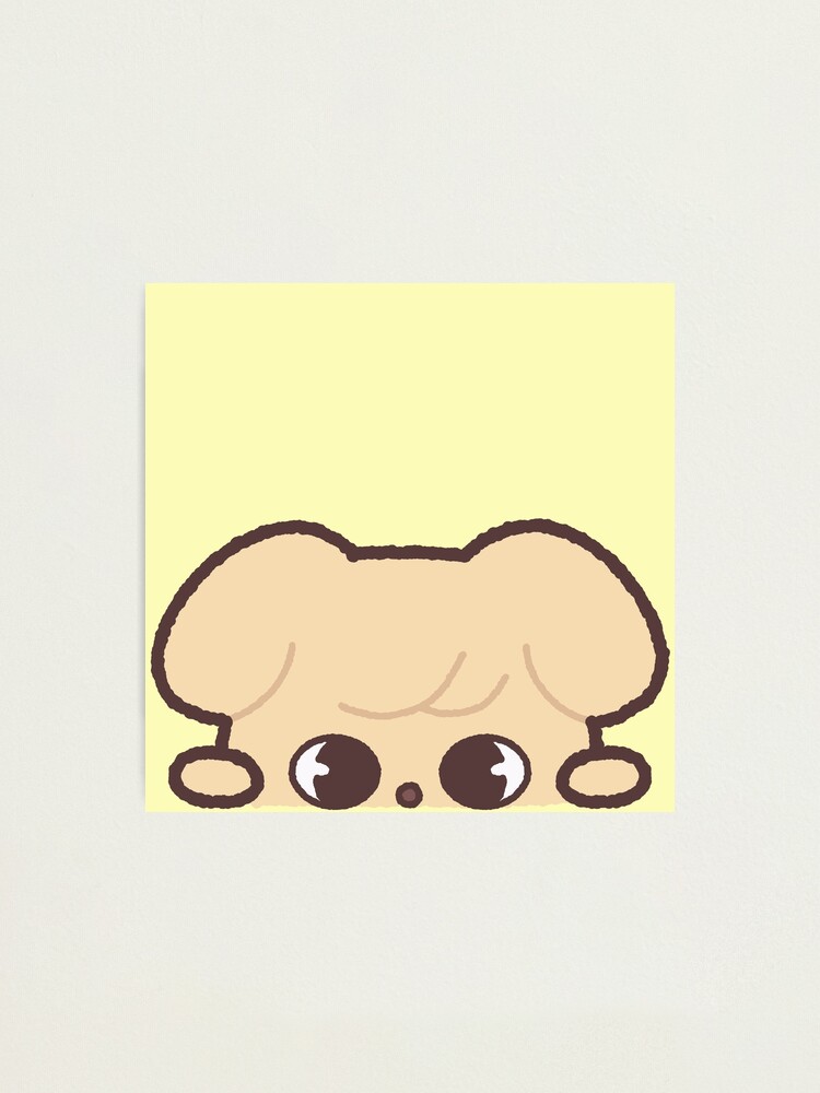 Stray kids - skzoo puppym